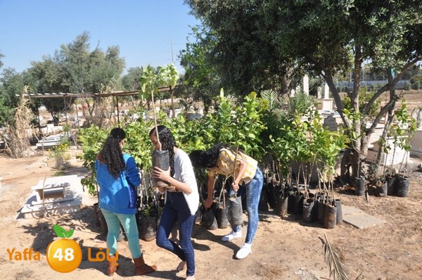 ashjar taso 0328 (14).JPG